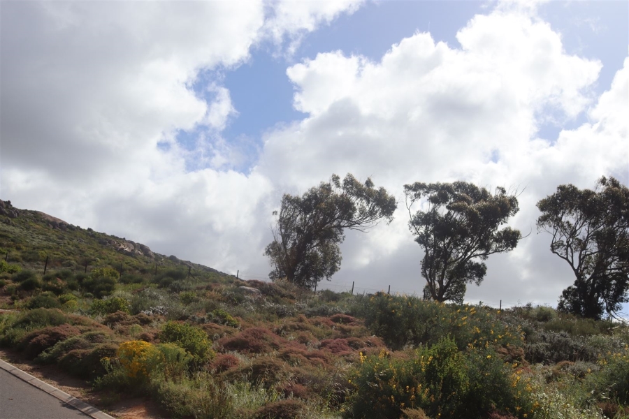0 Bedroom Property for Sale in St Helena Views Western Cape